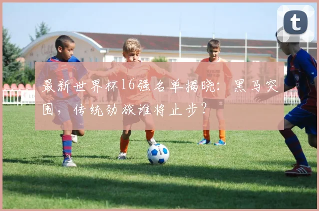 最新世界杯16强名单揭晓：黑马突围，传统劲旅谁将止步？