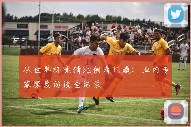 从世界杯竞猜比例看门道:业内专家深度访谈全记录