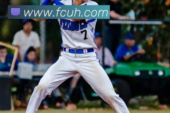 App Interface Preview